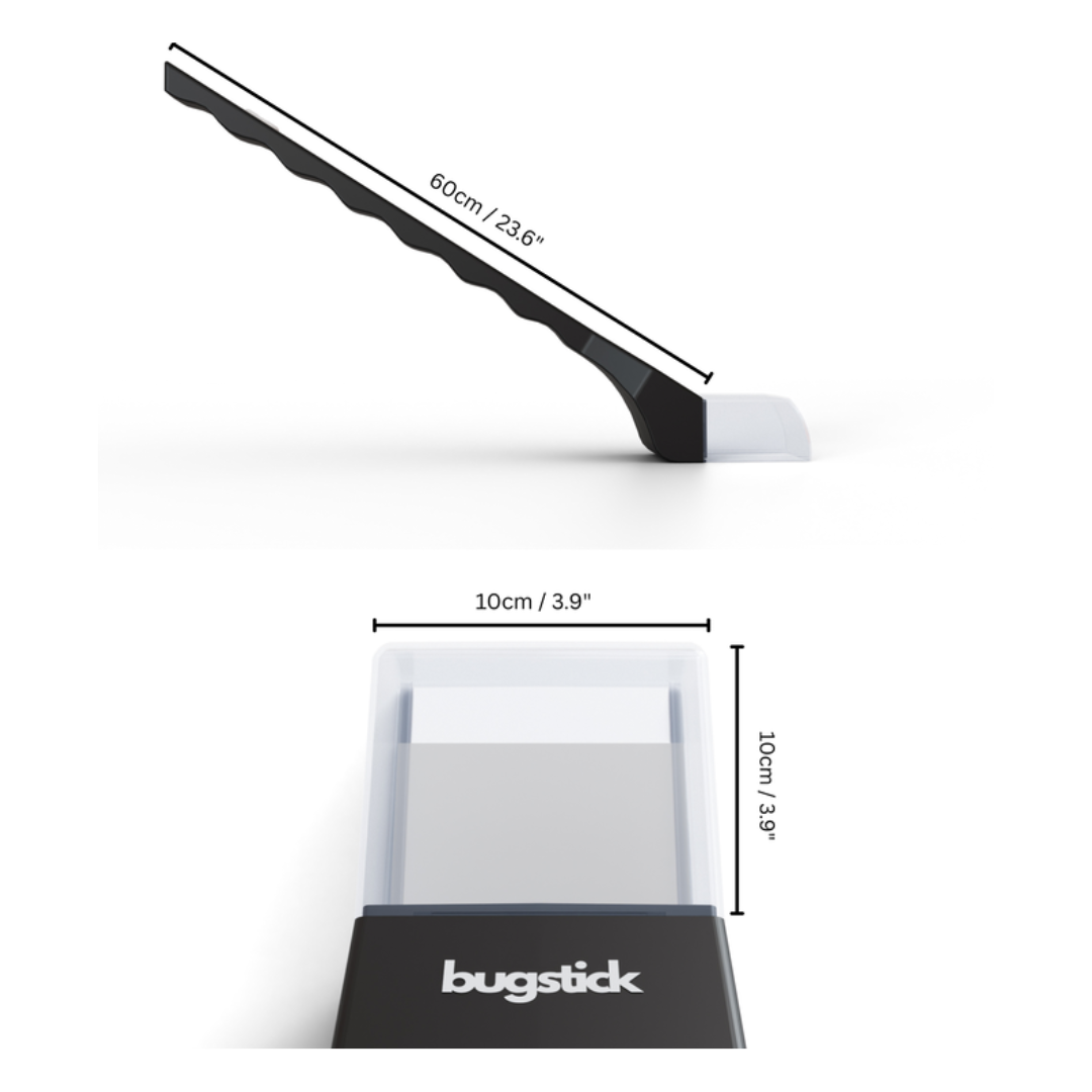 BugStick: Catch and Release Spiders and Bugs Outside